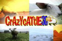 Crazy Cattle 3D img